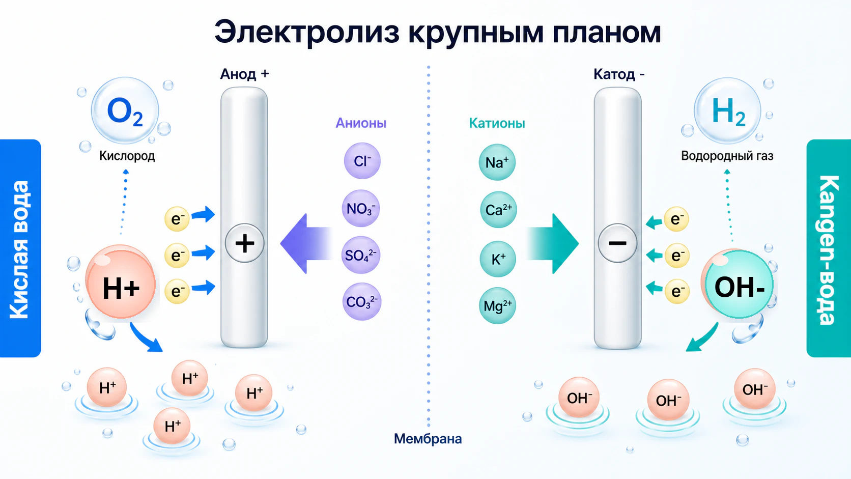 Крупная схема электролиза воды с анодом катодом и ионами