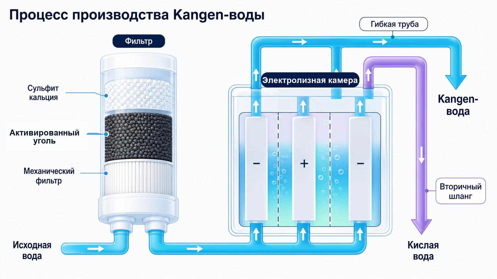 Схема производства Kangen воды: фильтр электролизная камера и два выхода воды